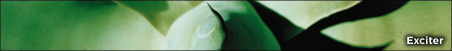 Exciter